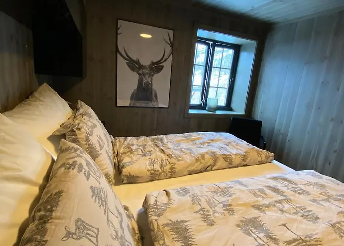 Hovden Alpin Lägenhet Bykle