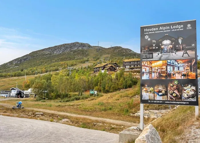Hovden Alpin Lägenhet