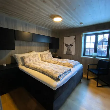 Апартаменты Hovden Alpin