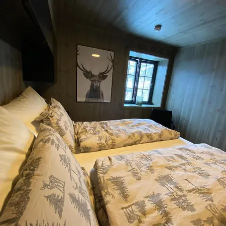 Hovden Alpin Апартаменты Bykle