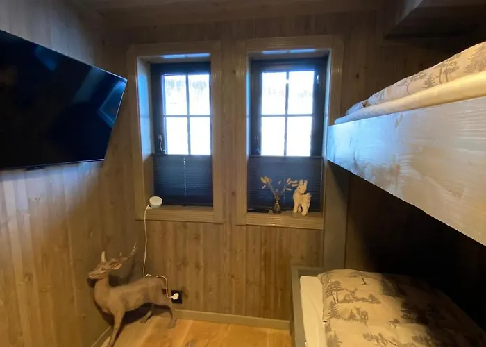 Hovden Alpin 公寓 *
