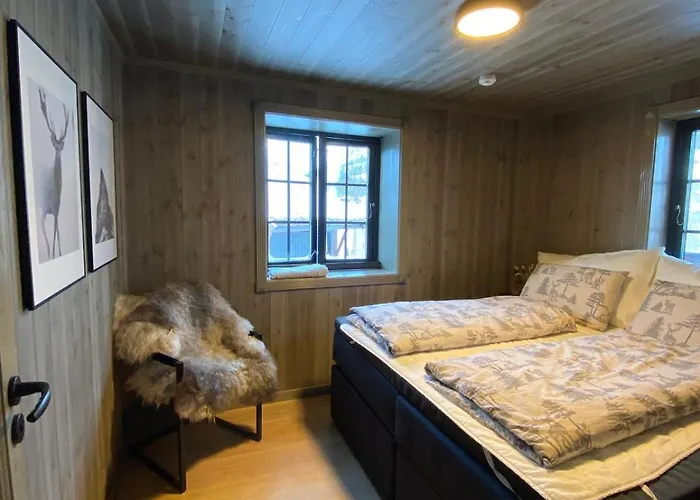 公寓 Hovden Alpin 比克勒