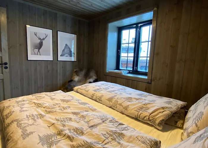 公寓 Hovden Alpin